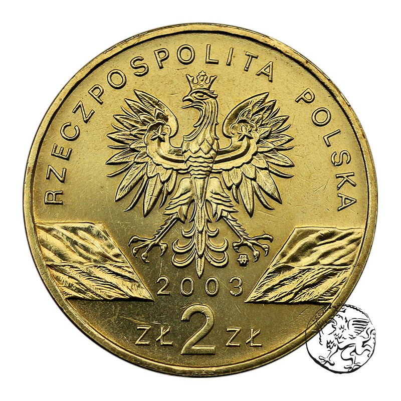 III RP, 2 złote, 2003, Węgorz europejski
