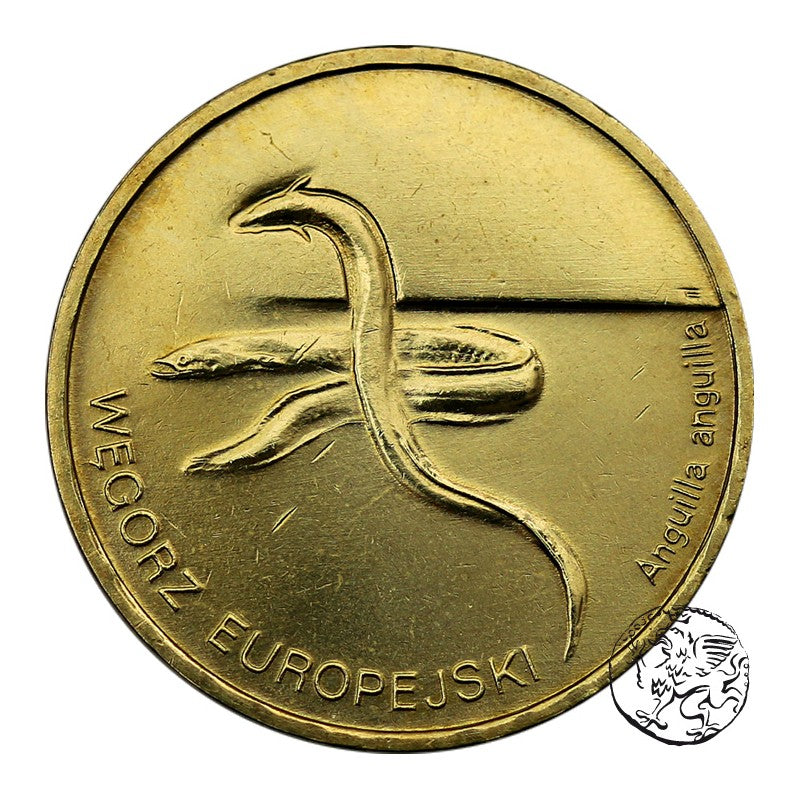 III RP, 2 złote, 2003, Węgorz europejski