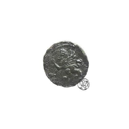 Pomorze, Dwaj Bracia, Szerf, 1581 r., Szczecin