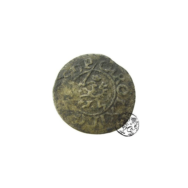 Pomorze Karol XI wit 1685